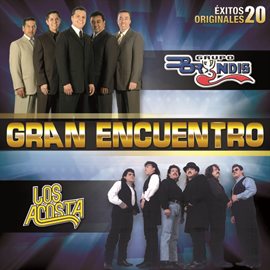 Cover image for Gran Encuentro (20 Éxitos Originales)
