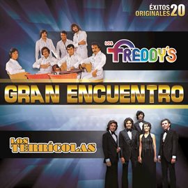 Imagen de portada para Gran Encuentro (20 Éxitos Originales)