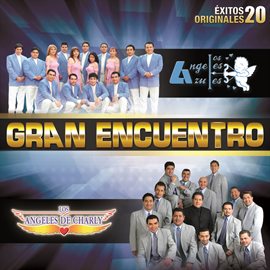 Imagen de portada para Gran Encuentro (20 Éxitos Originales)