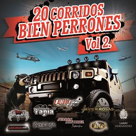 Imagen de portada para 20 Corridos Bien Perrones