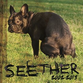 Cover image for Seether: 2002-2013