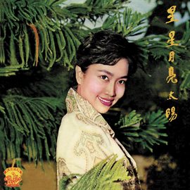 Cover image for Xing Xing Yue Liang Tai Yang