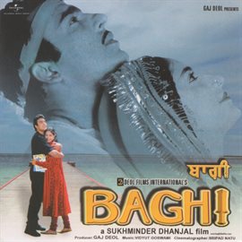 Cover image for Baghi