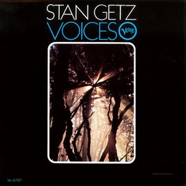 Cover image for Voices