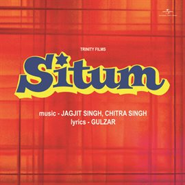 Cover image for Situm
