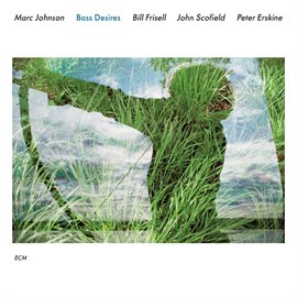 Imagen de portada para Bass Desires
