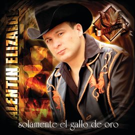 Cover image for Solamente El Gallo De Oro