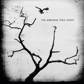 Cover image for The Airborne Toxic Event