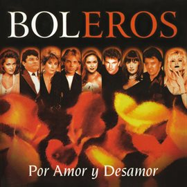 Cover image for Boleros Por Amor Y Desamor