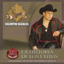 Cover image for La Historia De Los Exitos