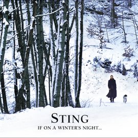 Cover image for If On A Winter's Night