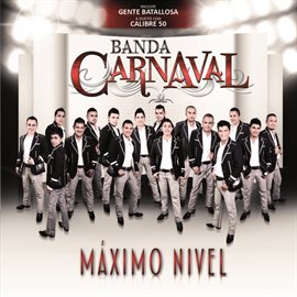Cover image for Máximo Nivel