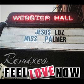 Cover image for Feel Love Now (Remixes)