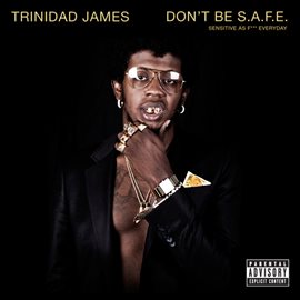 Cover image for Don't Be S.A.F.E.