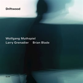 Imagen de portada para Driftwood