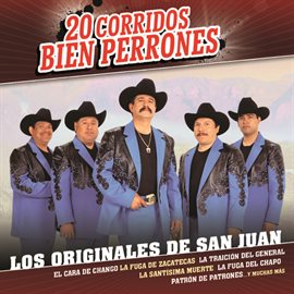Imagen de portada para 20 Corridos Bien Perrones