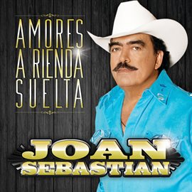 Imagen de portada para Amores A Rienda Suelta