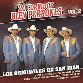 Imagen de portada para 20 Corridos Bien Perrones