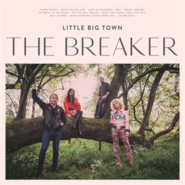Cover image for The Breaker