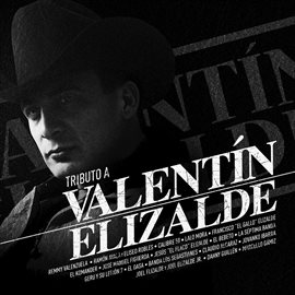 Cover image for Tributo A Valentín Elizalde