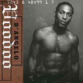 Cover image for Voodoo