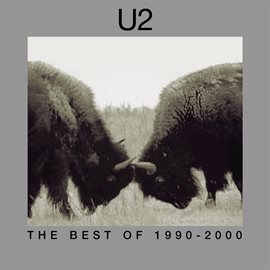 Cover image for The Best Of 1990-2000 & B-Sides