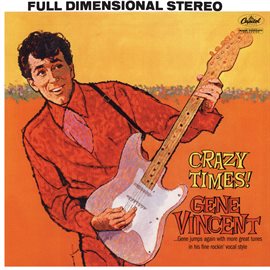 Cover image for Crazy Times