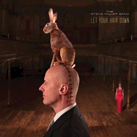 Imagen de portada para Let Your Hair Down