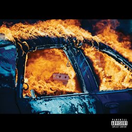 Cover image for Trial By Fire