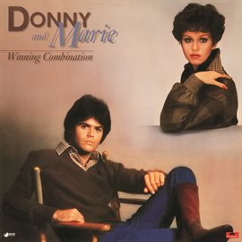 Cover image for Winning Combination