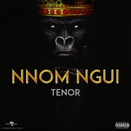 Cover image for Nnom Ngui