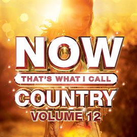 Cover image for NOW That's What I Call Country, Vol. 12