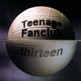 Cover image for Thirteen