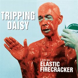 Cover image for I Am An Elastic Firecracker