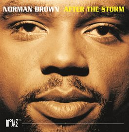 Cover image for After The Storm