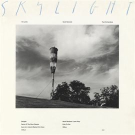 Cover image for Skylight