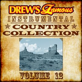 Cover image for Drew's Famous Instrumental Country Collection, Vol. 12