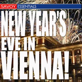 Cover image for New Year's Eve in Vienna