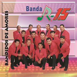 Imagen de portada para Bandidos De Amores
