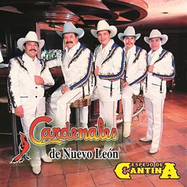 Imagen de portada para Espejo De Cantina