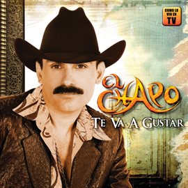 Cover image for Te Va A Gustar