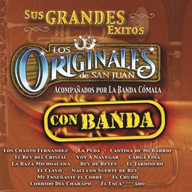 Imagen de portada para Sus Grandes Exitos - Con Banda