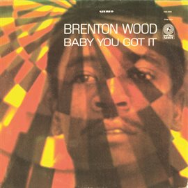 Cover image for Baby You Got It