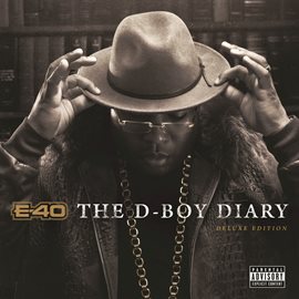 Cover image for The D-Boy Diary