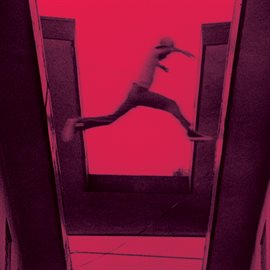 Cover image for The Ecstatic