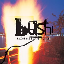 Cover image for Razorblade Suitcase