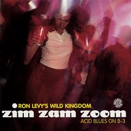 Cover image for Zim Zam Zoom: Acid Blues On B-3