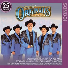 Imagen de portada para Íconos 25 Éxitos
