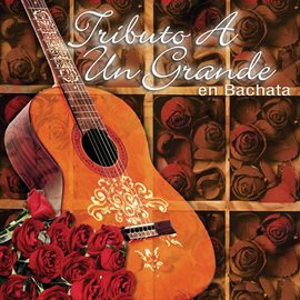 Cover image for Tributo A Un Grande En Bachata