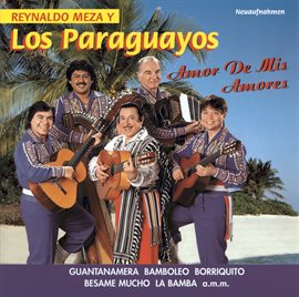 Imagen de portada para Amor De Mis Amores